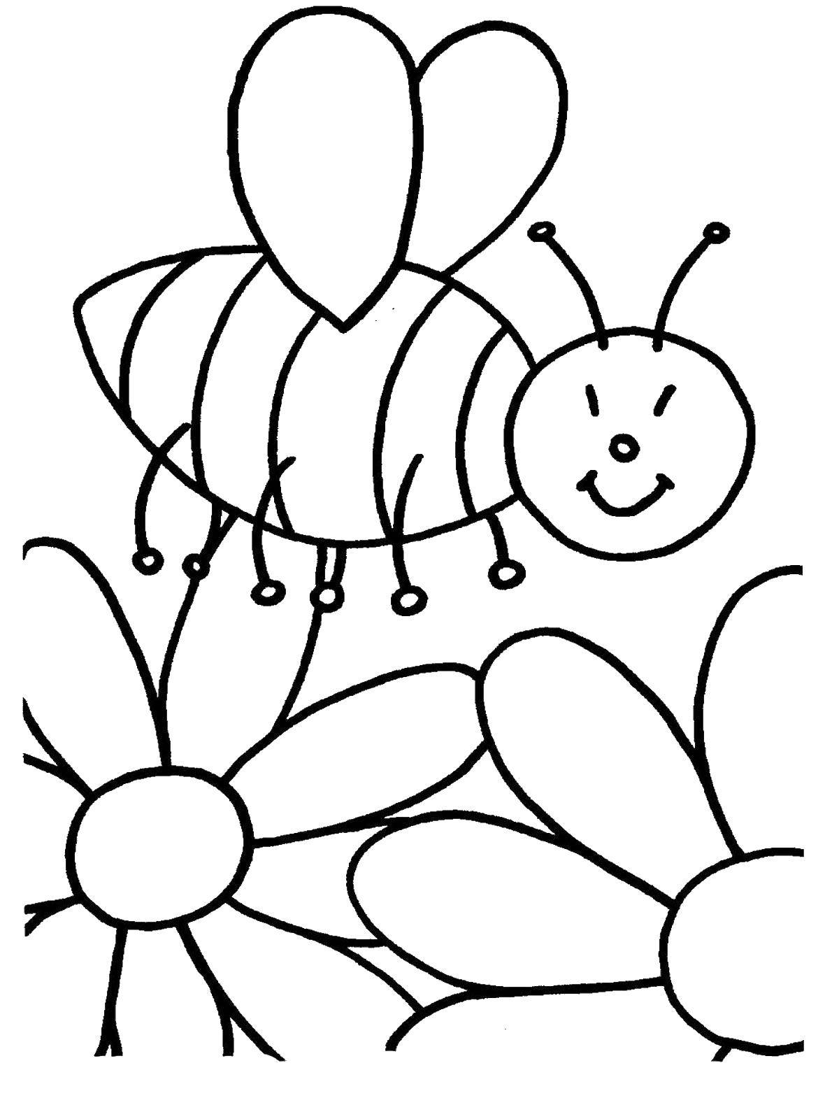 Название: Раскраска Пчёлка так любит цветочки. Категория: Раскраски для малышей. Теги: Насекомые, пчёлка.
