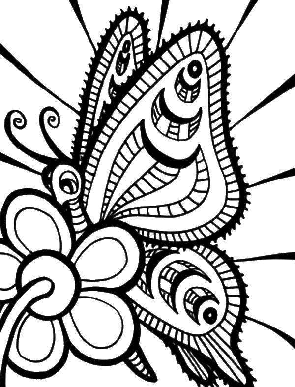 Coloring Patterned butterfly. Category butterfly. Tags:  butterfly, flowers.