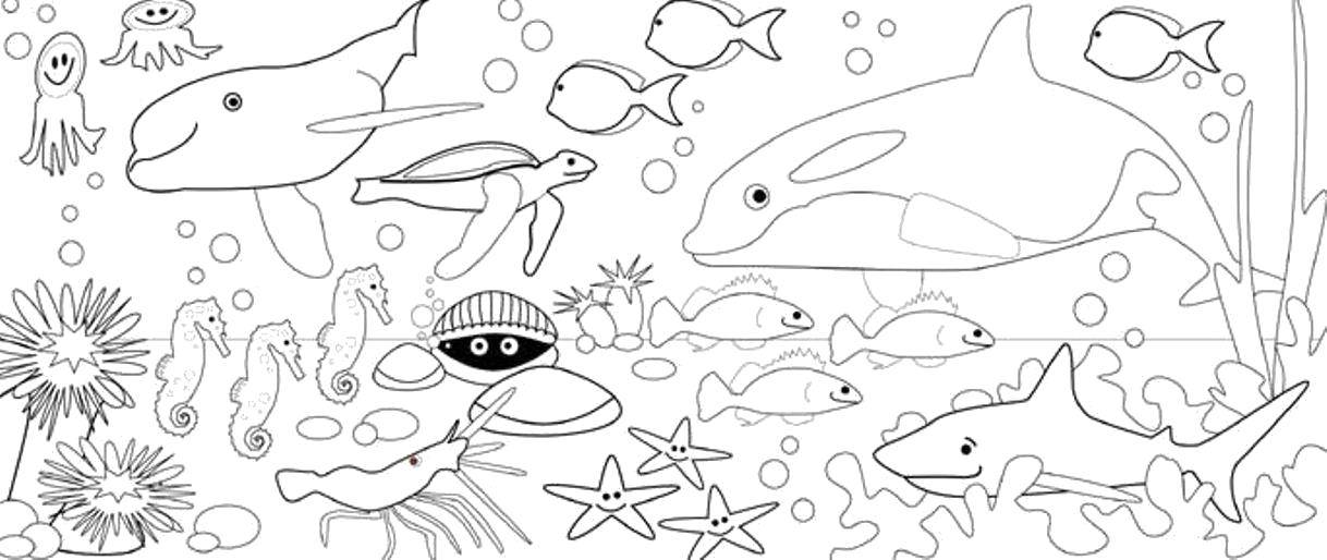 Название: Раскраска Жизнь на дне кипит. Категория: морское. Теги: Подводный мир.