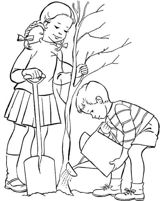 Название: Раскраска Дети сожают и полевают дерево. Категория: дети. Теги: дети, дерево.