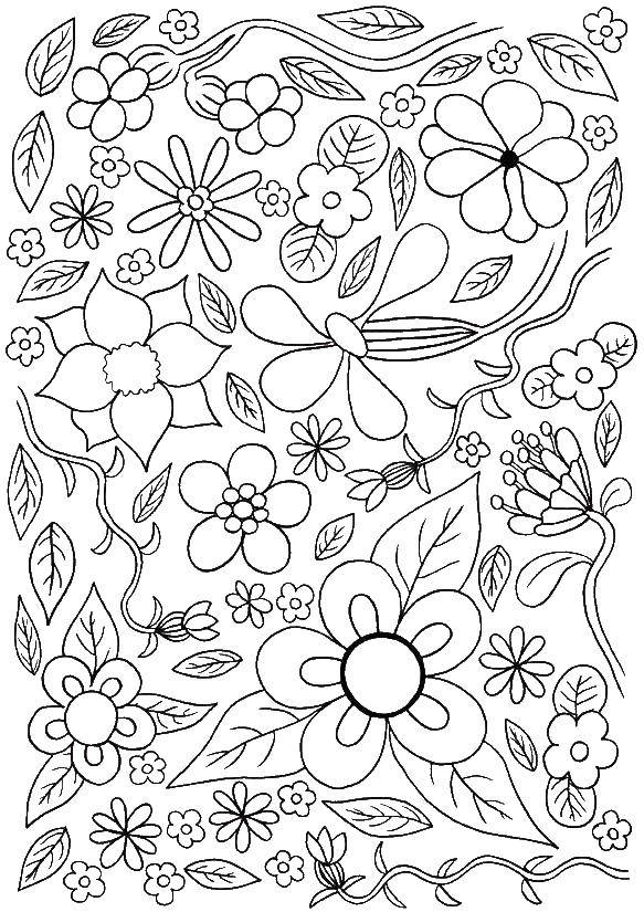 Coloring More colors. Category Coloring pages for kids. Tags:  flowers, patterns.