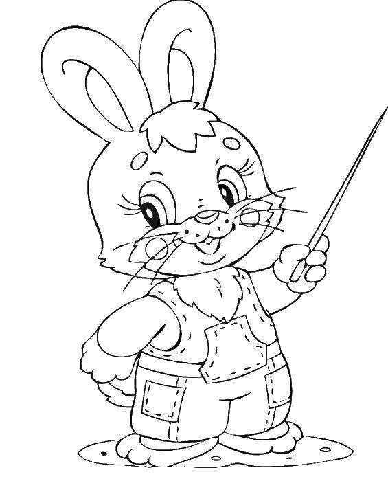 Coloring Bunny with a stick. Category Animals. Tags:  Bunny, stick.