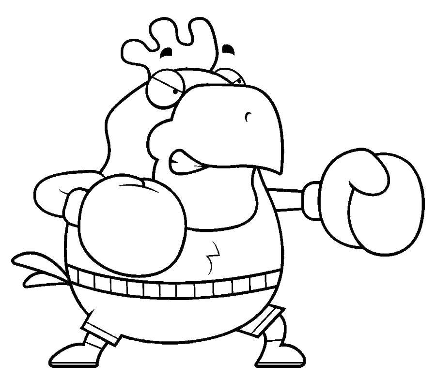 Coloring Rooster with Boxing gloves. Category sports. Tags:  Sports, animals, Boxing.