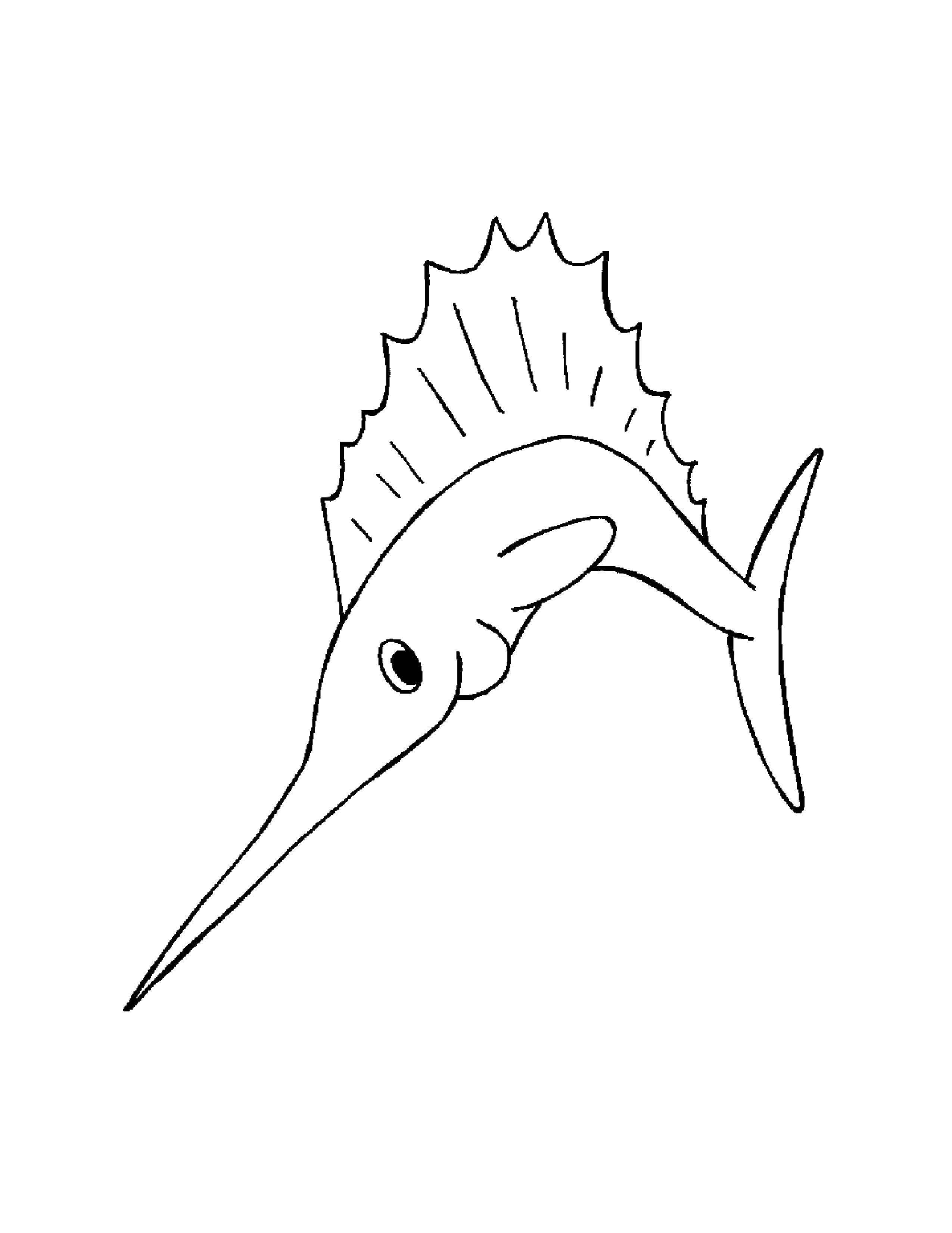 Coloring Swordfish. Category marine. Tags:  Underwater world, fish.
