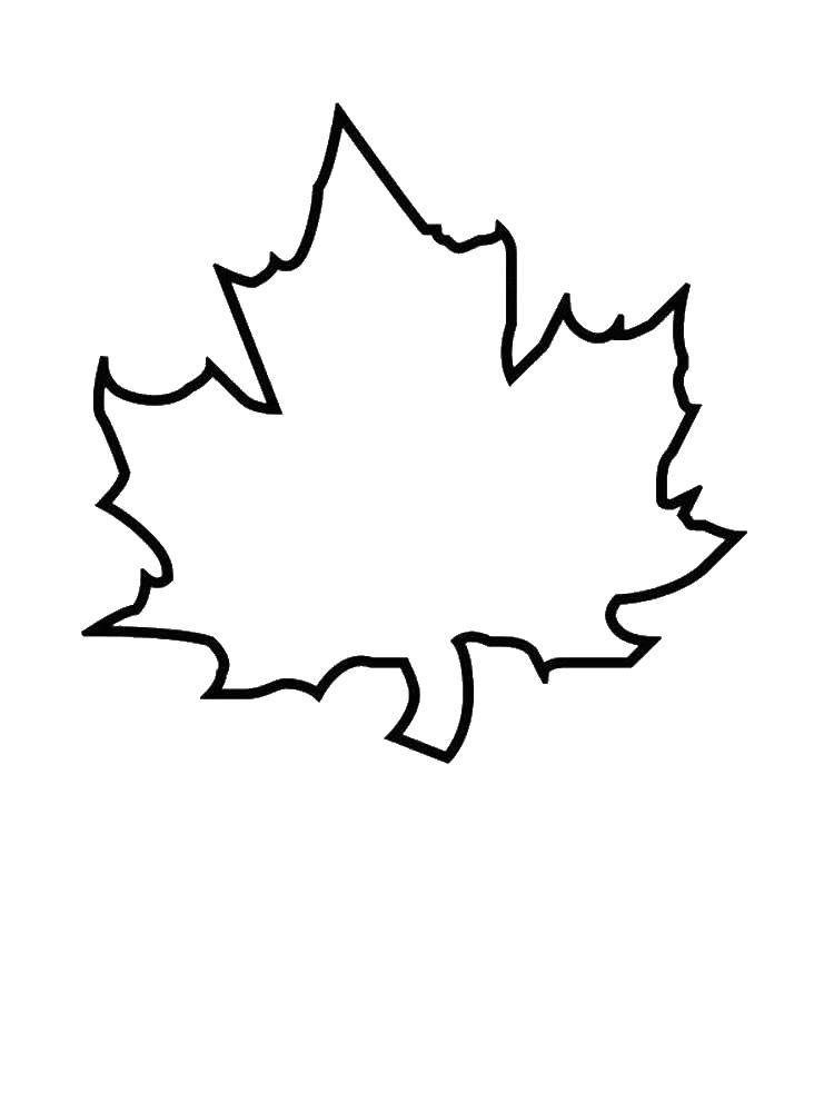 Название: Раскраска Контур листочка. Категория: Контуры листьев. Теги: Контур, лист.