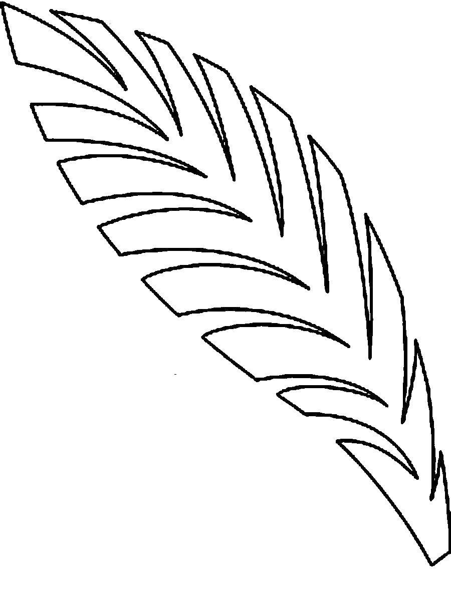 Coloring Leaf fern. Category The contours of the leaves. Tags:  Leaves, tree.