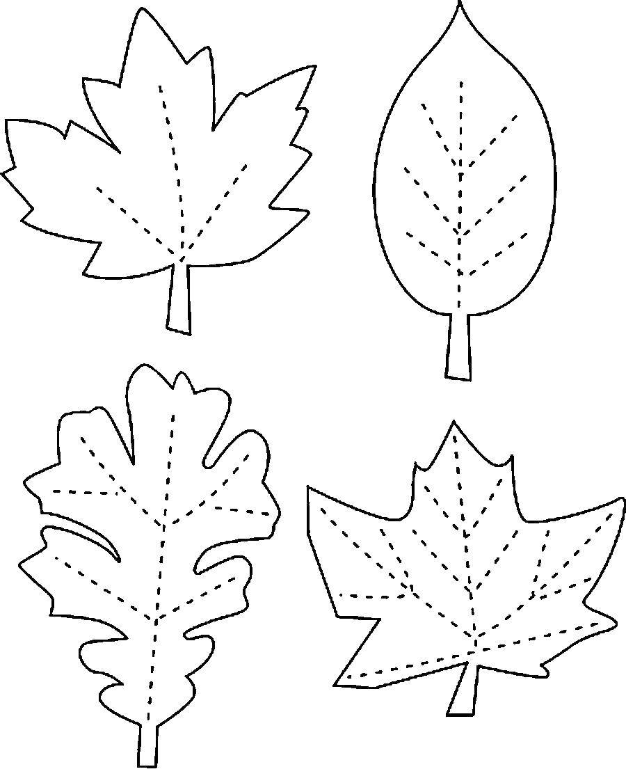 Название: Раскраска Обведи по контуру прожилки листьев. Категория: Контуры листьев. Теги: Листья, дерево.