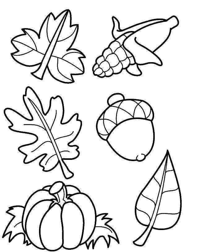 Coloring Autumn fruits. Category The contours of the leaves. Tags:  harvest.