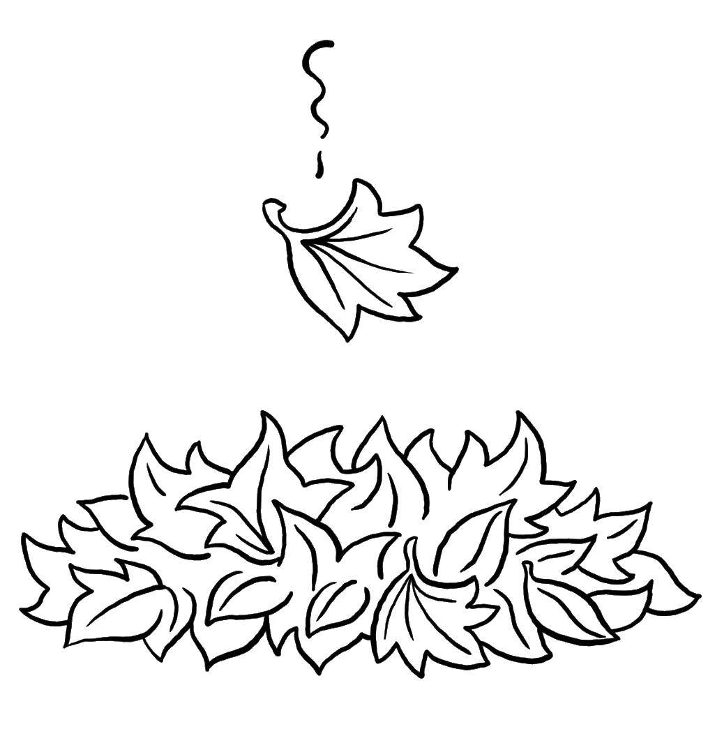 Название: Раскраска Кучка листьев. Категория: листья. Теги: Листья, дерево.