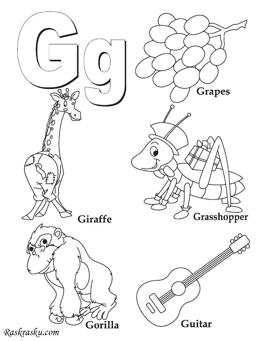 Coloring English words for g. Category English. Tags:  English words, G.