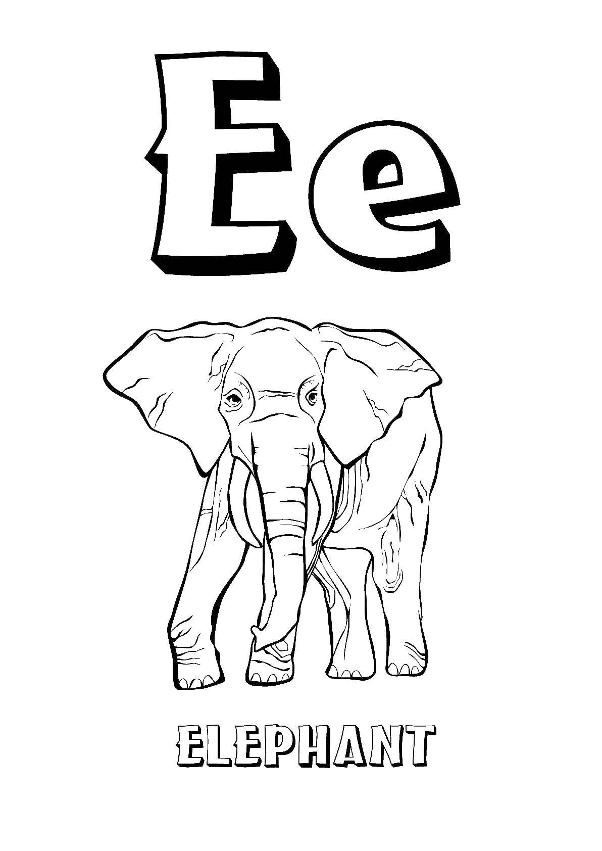 Название: Раскраска Английские слова слон. Категория: Английский. Теги: Английские слова , слон.