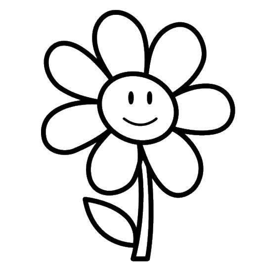 Розмальовки  Квіточка посміхається. Завантажити розмальовку Квіти.  Роздрукувати ,прості розмальовки,