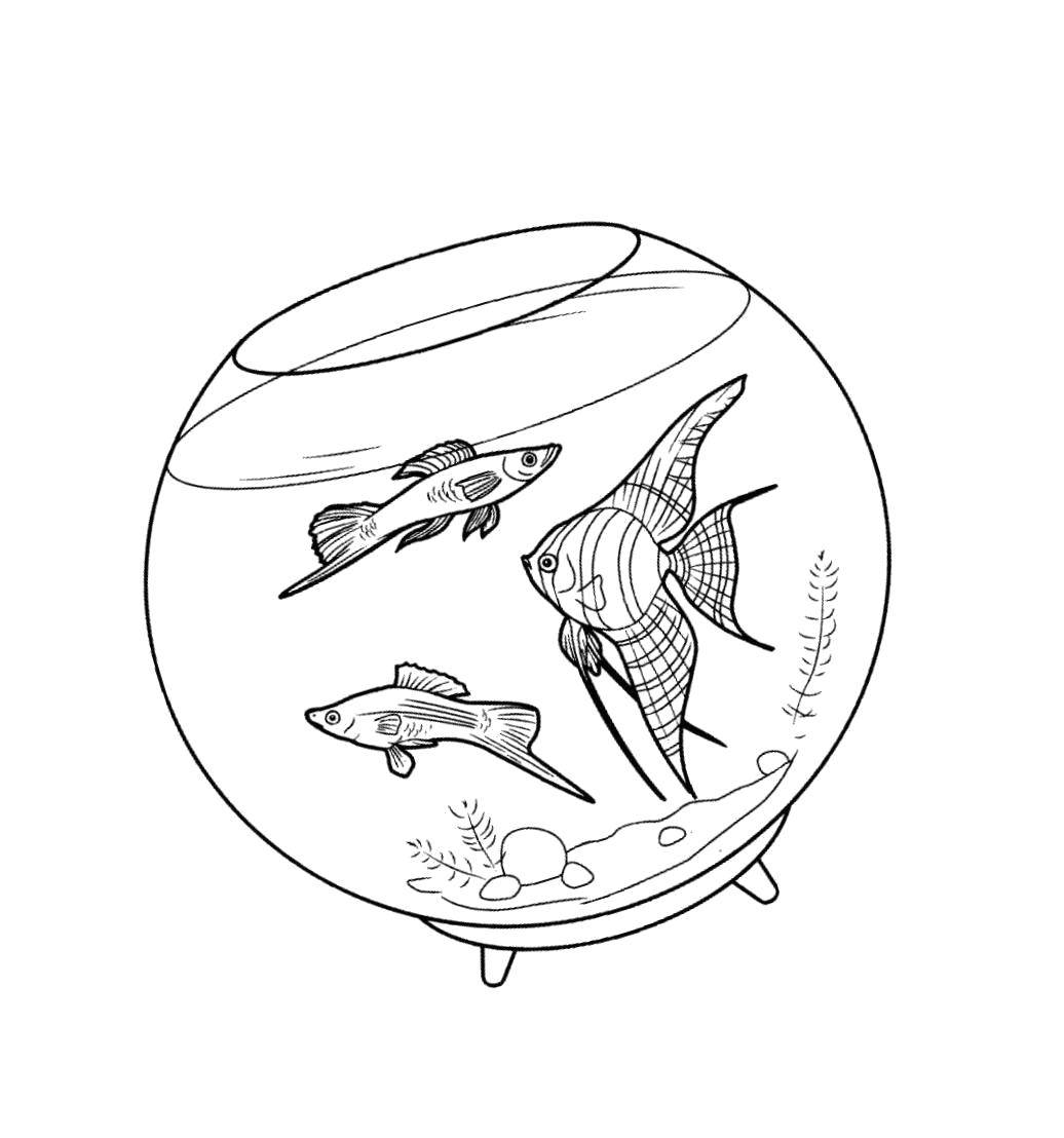Название: Раскраска Аквариум с рыбками.. Категория: рыбы. Теги: Подводный мир, рыба.
