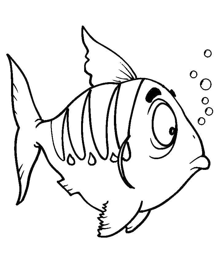 Название: Раскраска Испуганная рыбка. Категория: рыбы. Теги: Подводный мир, рыба.