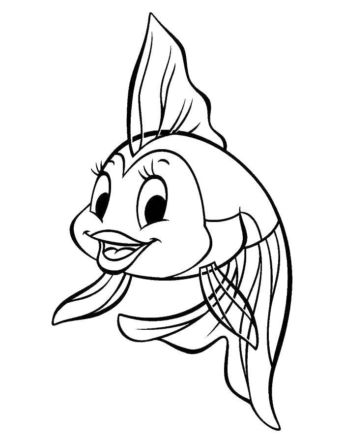 Название: Раскраска Рыбка кокетка. Категория: рыбы. Теги: Подводный мир, рыба.