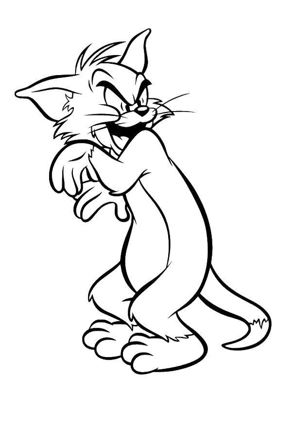 Coloring Insidious Tom. Category Tom and Jerry. Tags:  Character cartoon, Tom and Jerry.