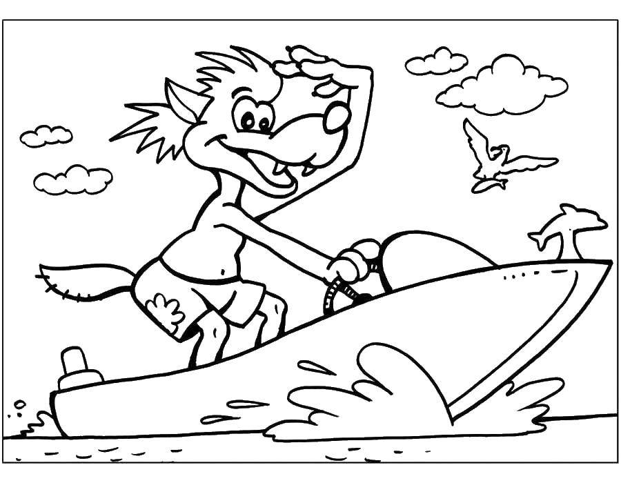 Coloring The wolf on the boat. Category just wait. Tags:  Cartoon character, Wolf, just you Wait! .
