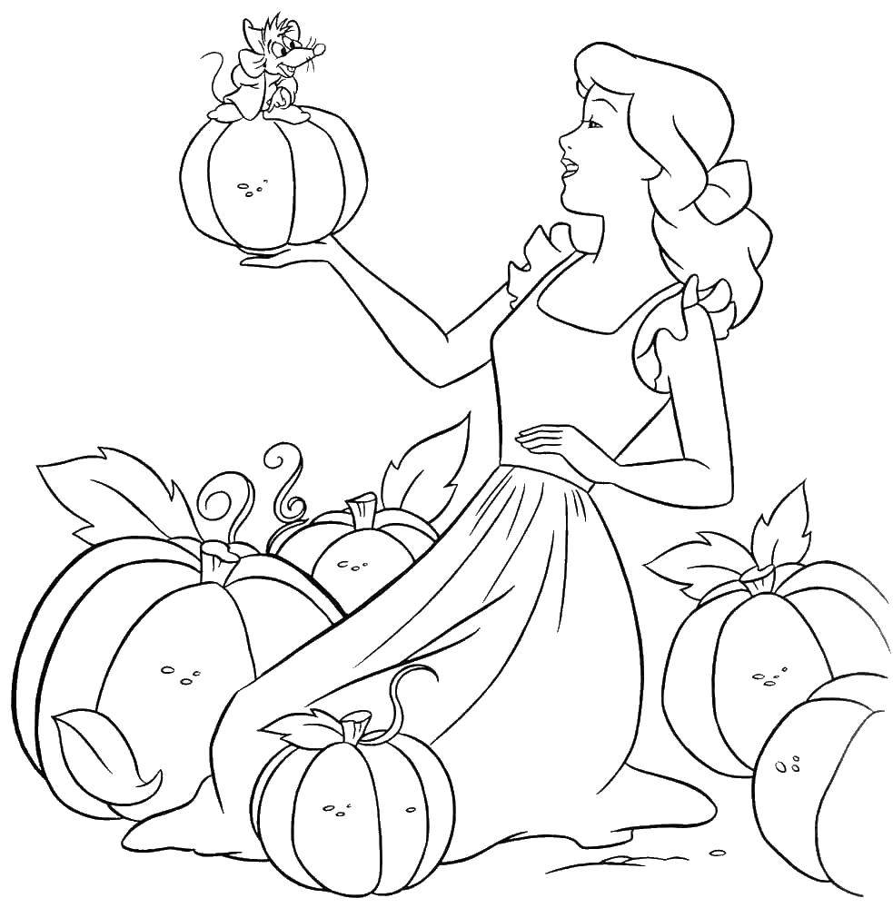 Coloring Cinderella in the pumpkin. Category Cinderella and the Prince. Tags:  Disney, Cinderella.
