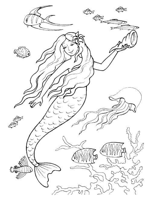 Coloring Mermaid with shell. Category the little mermaid. Tags:  Mermaid, shell.