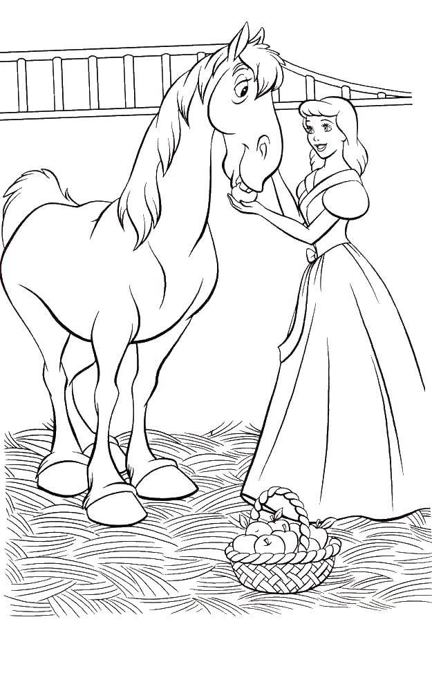 Название: Раскраска Золушка кормит лошадку. Категория: золушка и принц. Теги: Золушка, лошадь.