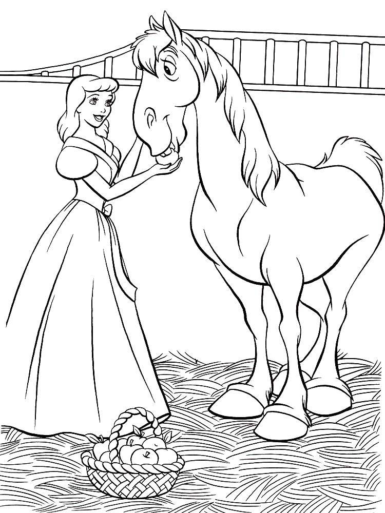 Название: Раскраска Золушка кормит лошадку. Категория: золушка и принц. Теги: Дисней, Золушка.