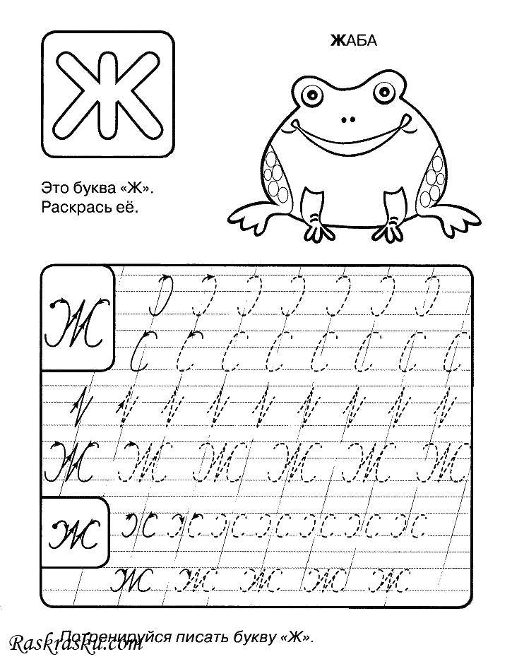 Название: Раскраска Буква ж. жаба. Категория: прописи буквы. Теги: Буква Ж. Жаба.