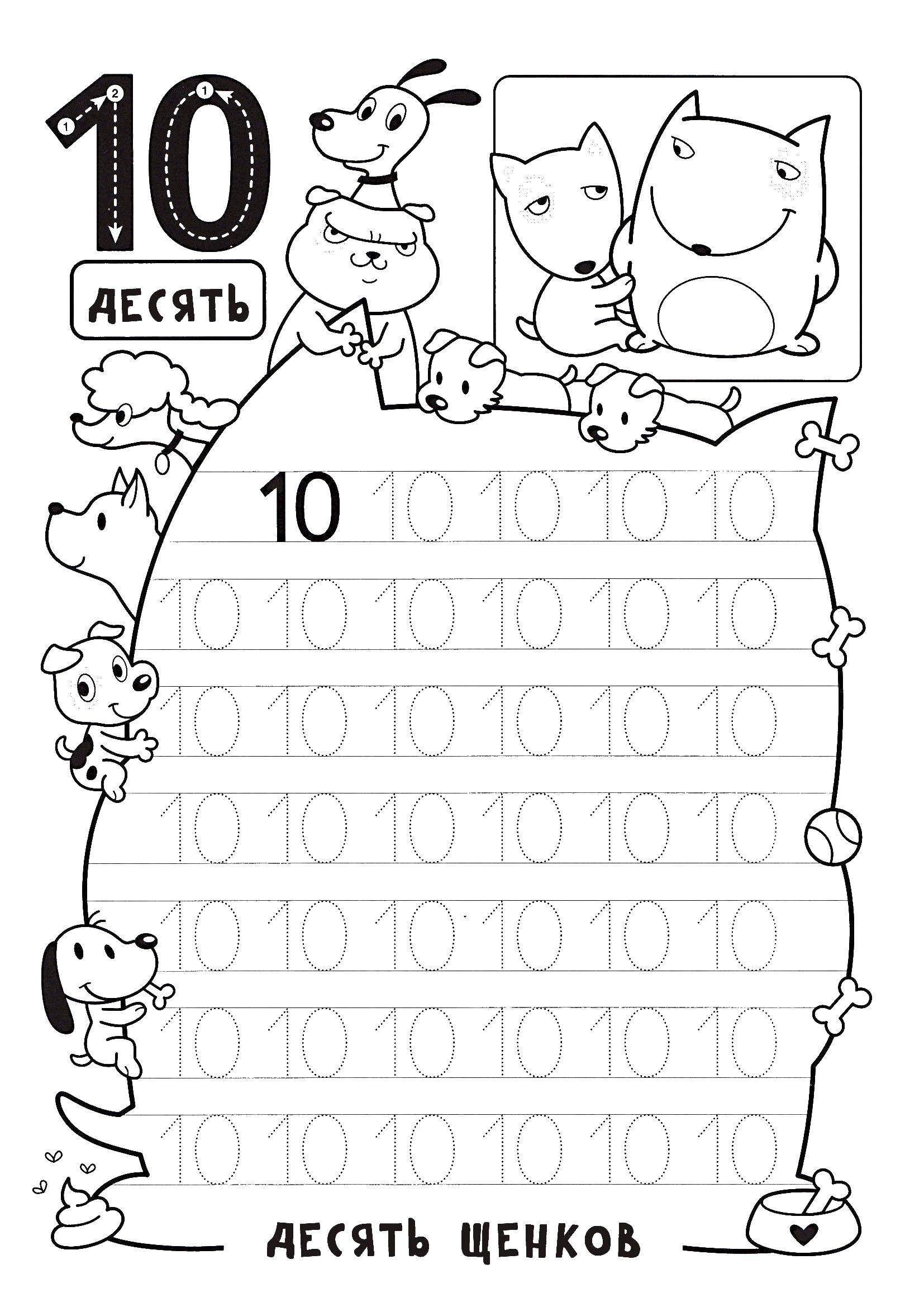 Coloring Ten puppies recipe. Category tracing numbers. Tags:  tracing, 10.