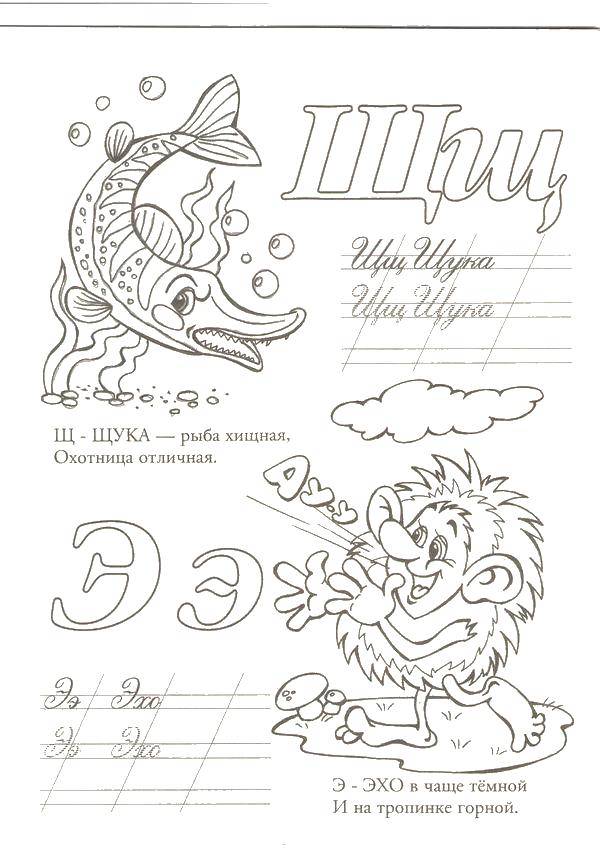 Coloring Sch pike, e echo. Category ABCs . Tags:  The alphabet, letters, words.