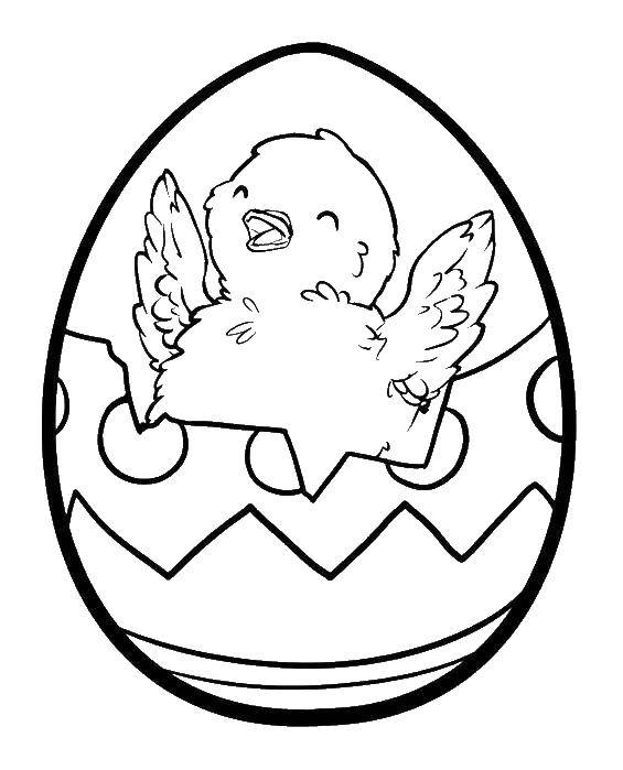 Название: Раскраска Пасхальное яйцо с рисунком цыпленка. Категория: пасхальные яйца. Теги: пасхальные яйца, цыпленок.