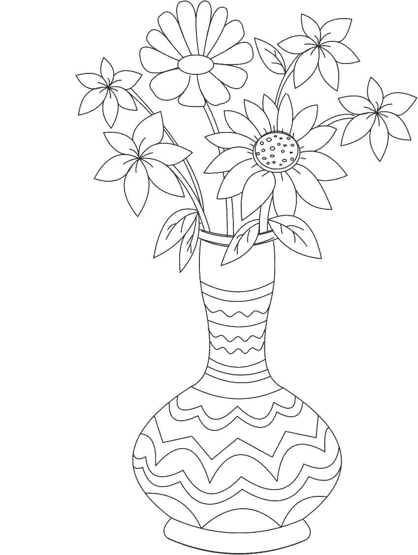 Coloring Daisies in a pot. Category flowers. Tags:  chamomile flower.