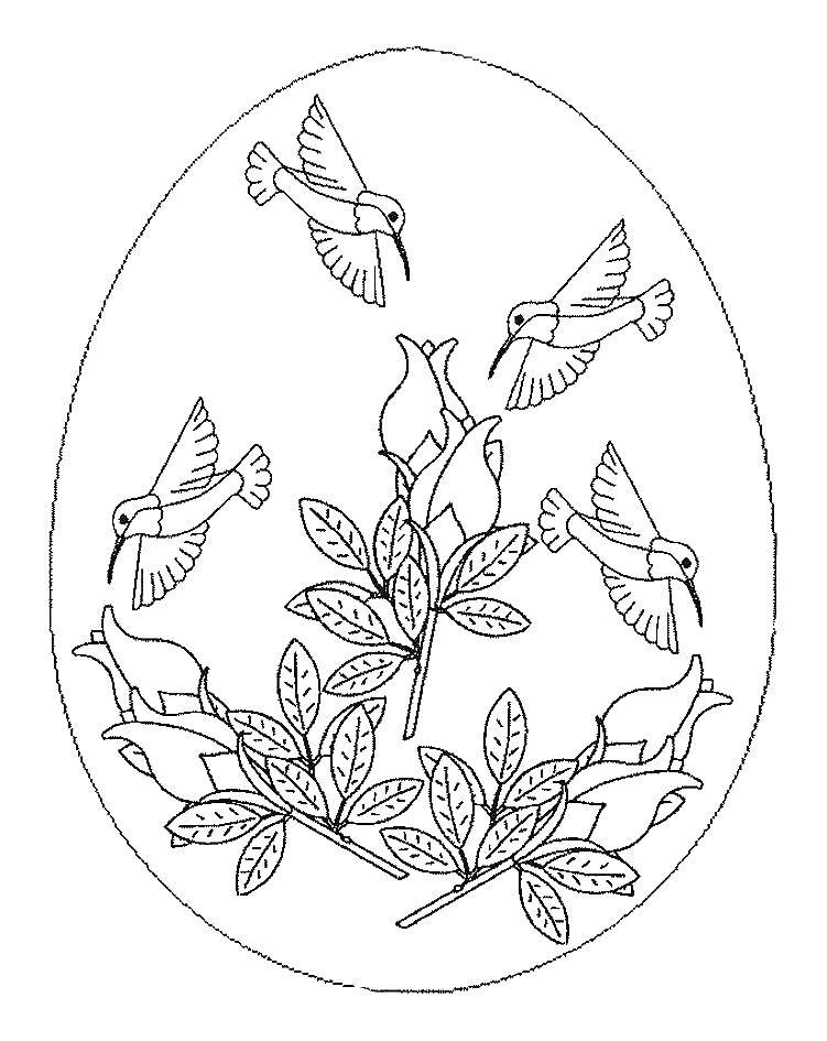 Coloring Hummingbirds in the flowers. Category coloring Easter. Tags:  Easter, eggs, patterns.