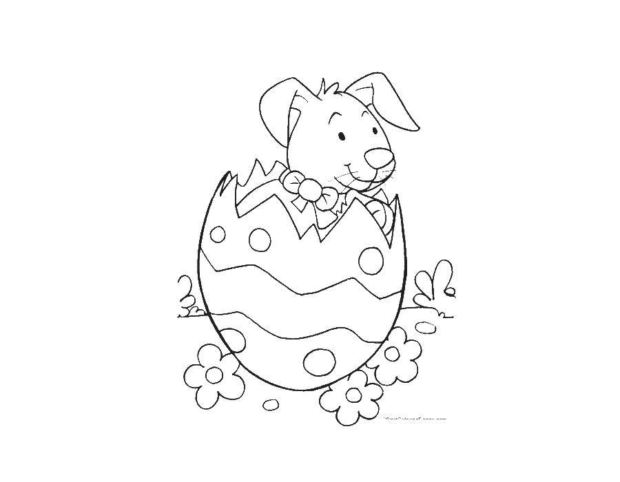 Название: Раскраска Пасхальный кролик в яйце. Категория: пасхальные яйца. Теги: пасхальные яйца, корзина, пасха.
