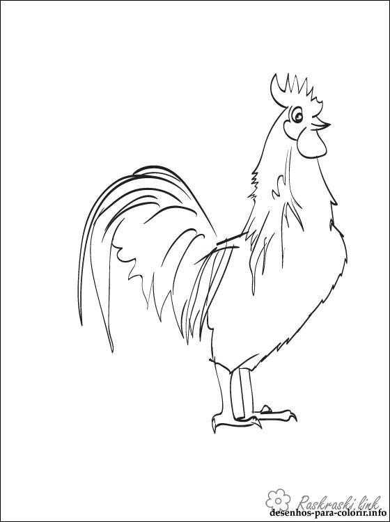 Coloring Drawing cock. Category Pets allowed. Tags:  The cock.