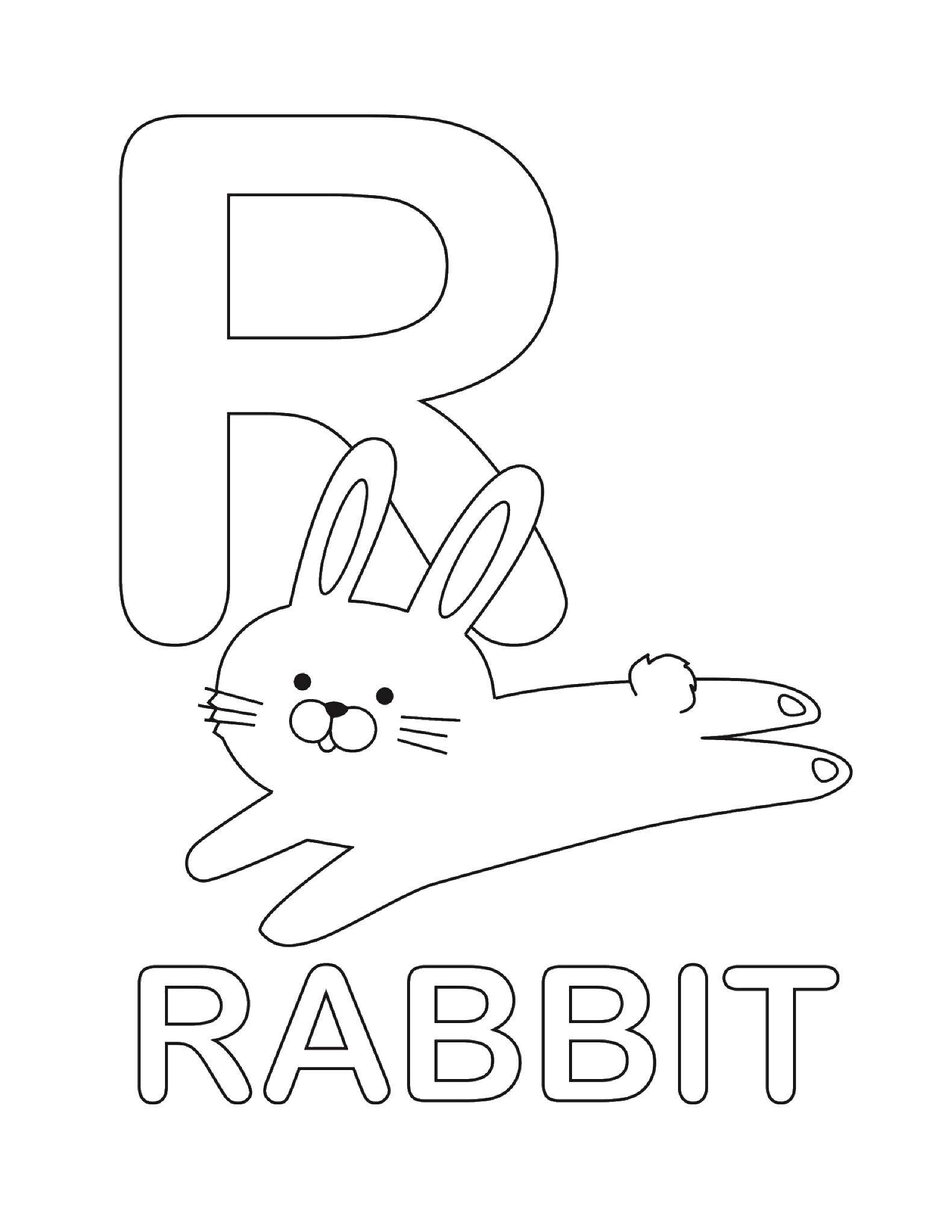 Раскраска Кролик Скачать ,английские слова, кролик,.  Распечатать 