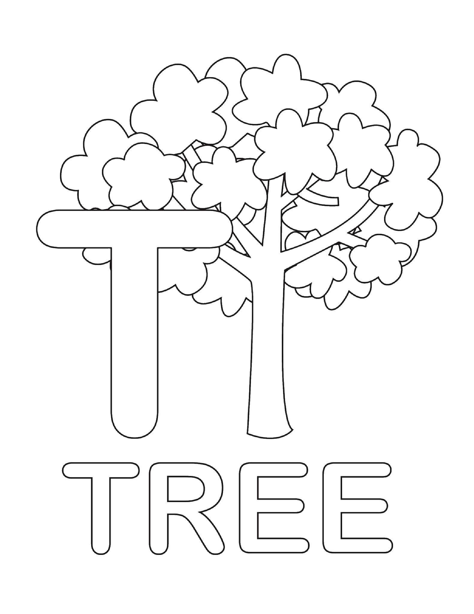 Название: Раскраска Дерево. Категория: английские слова. Теги: английские слова, дерево.