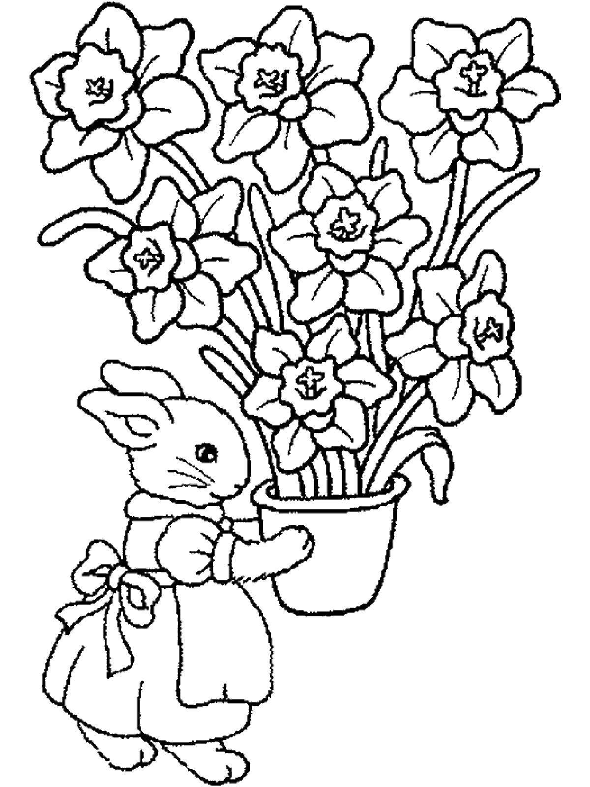 Название: Раскраска Крольчиха несет нарцыссы. Категория: кролик. Теги: кролик, заяц, цветы.