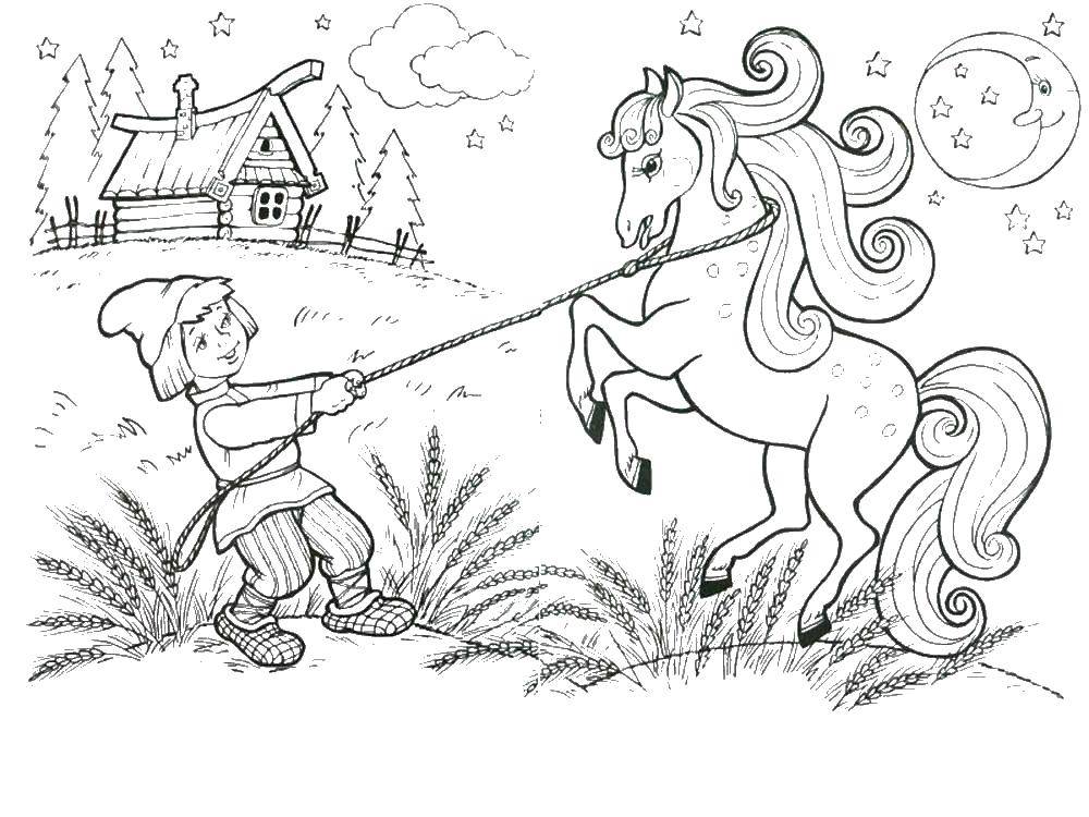 Название: Раскраска Мальчик и лошадь. Категория: сказка о царе салтане. Теги: сказка, мальчик, лошадь.