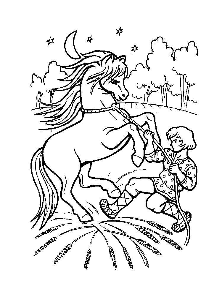 Название: Раскраска Молодец седлает коня. Категория: сказка о царе салтане. Теги: сказка, конь, молодец.
