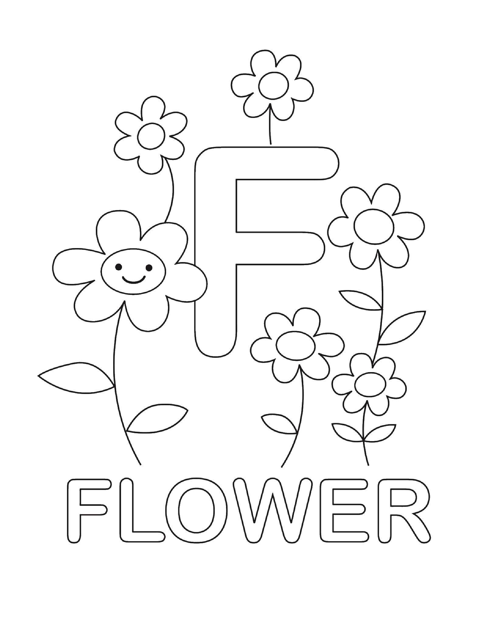 Coloring TS flower. Category English words. Tags:  English.