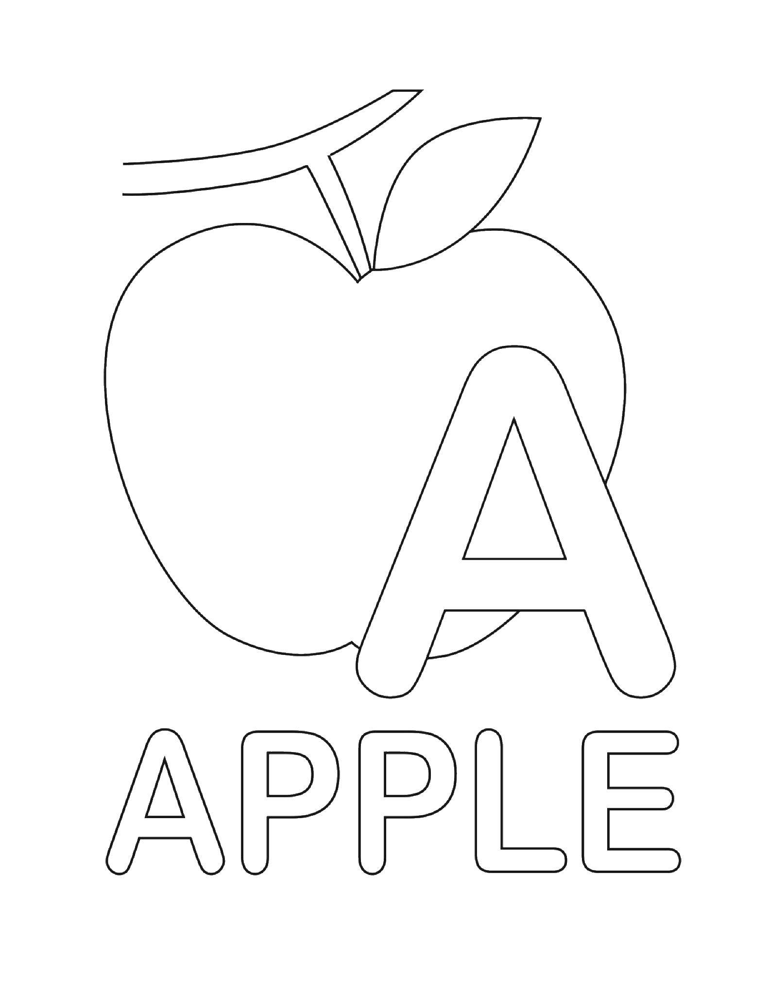 Coloring I Apple. Category English words. Tags:  English fruit. berries.