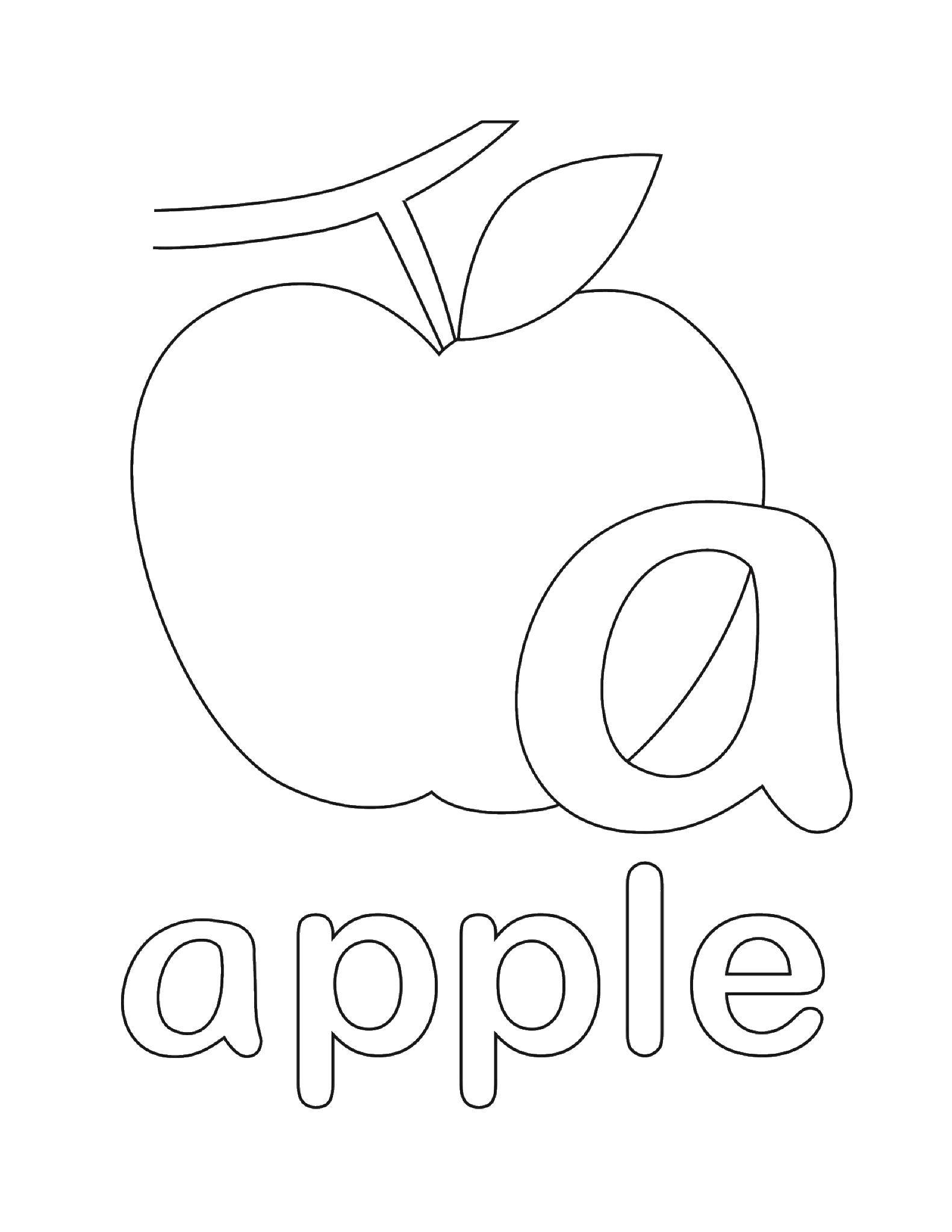 Coloring Apple. Category English words. Tags:  the English word, Apple.