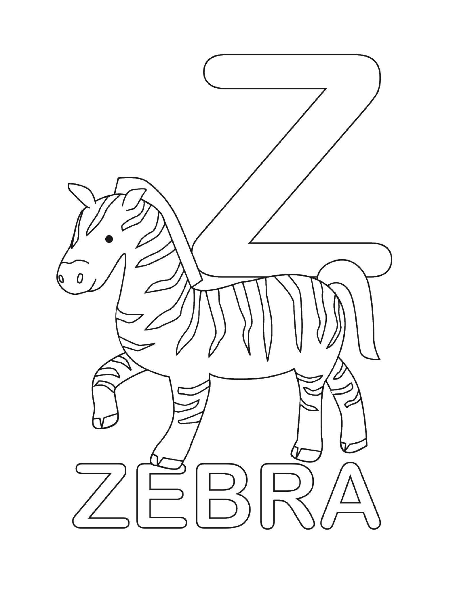 Название: Раскраска Зебра. Категория: английские слова. Теги: английские слова, зебра.