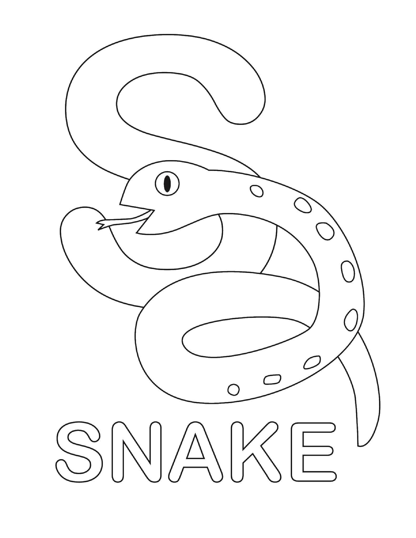 Название: Раскраска Змея. Категория: английские слова. Теги: английские слова, змея.