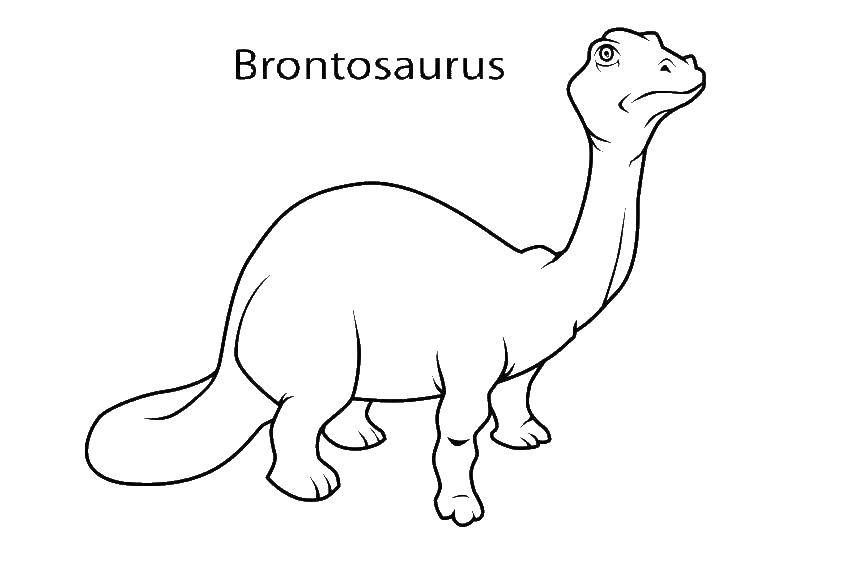 Coloring Brontosaurus dinosaur. Category Jurassic Park. Tags:  Brontosaurus, dinosaur.