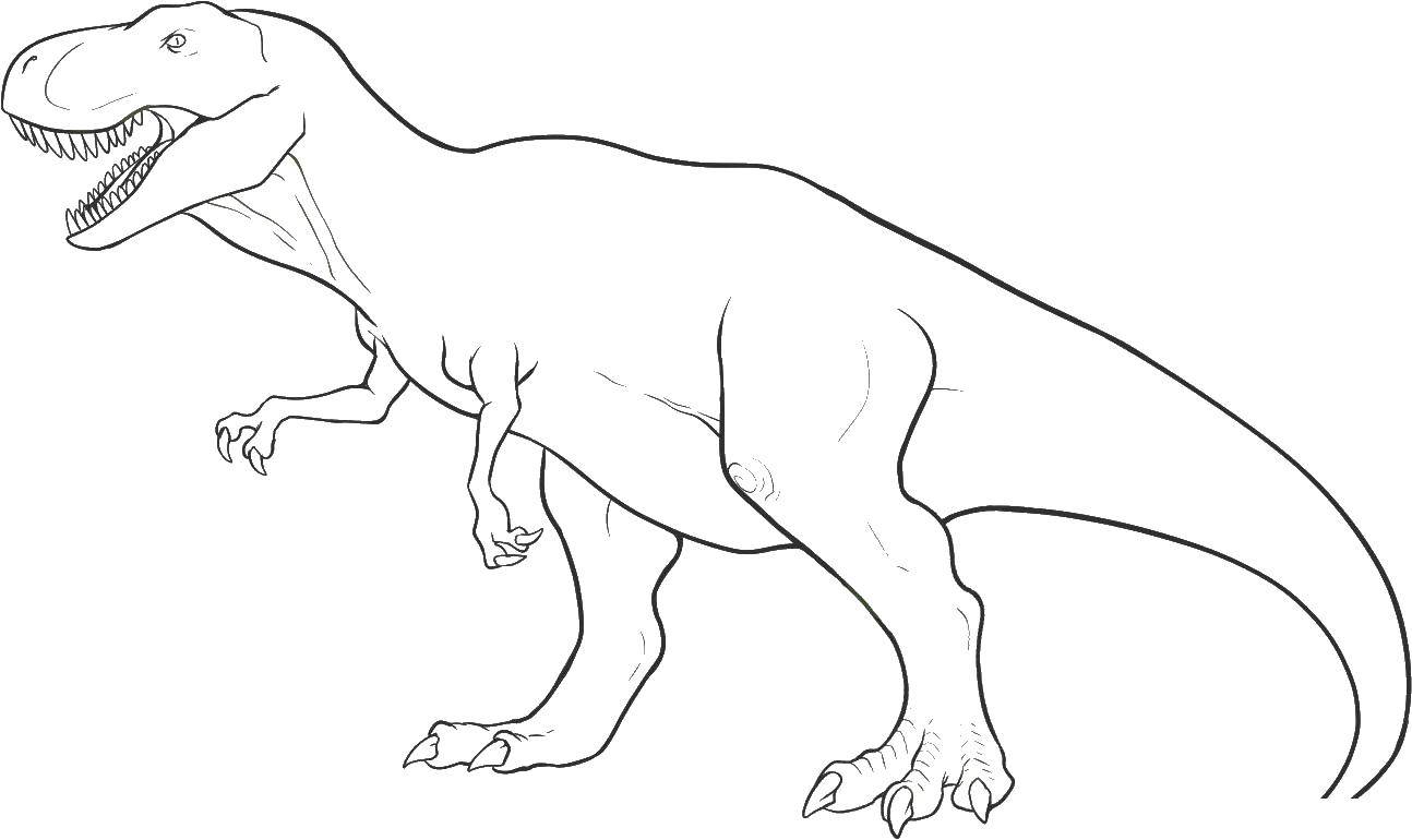 Название: Раскраска Динозавр. Категория: парк юрского периода. Теги: динозавр, хвост.