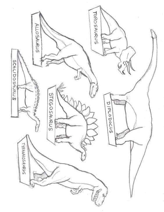 Название: Раскраска Виды динозавров. Категория: парк юрского периода. Теги: динозавры, виды.