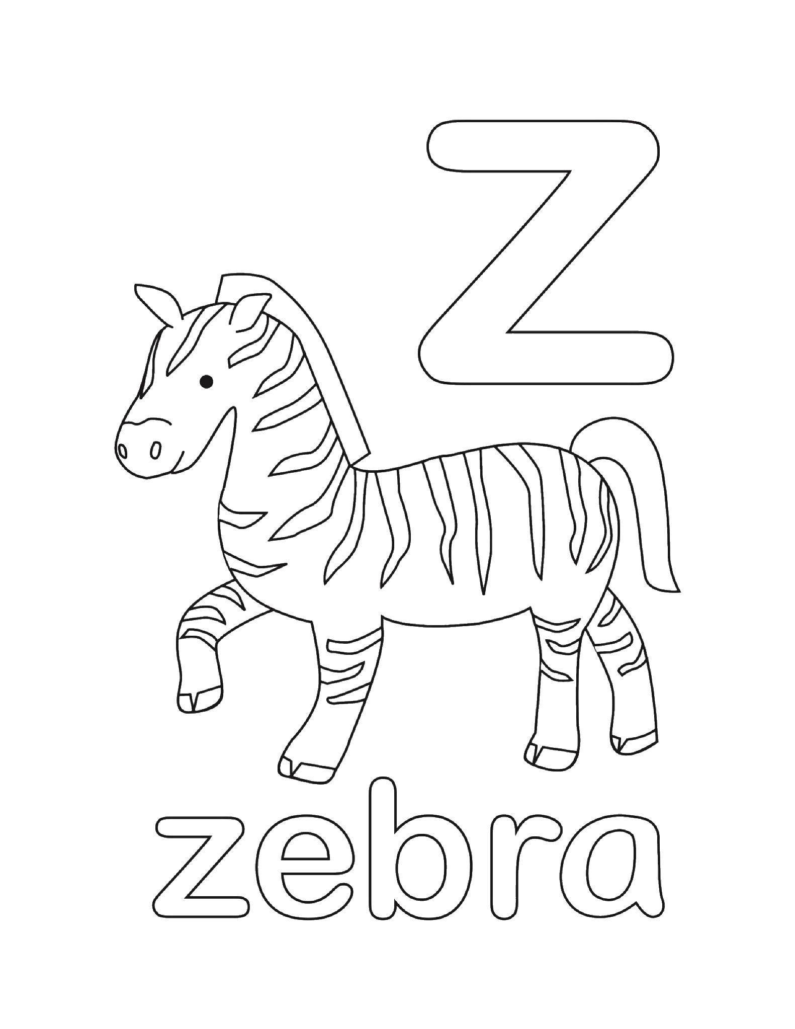 Coloring Z Zebra. Category English words. Tags:  English.