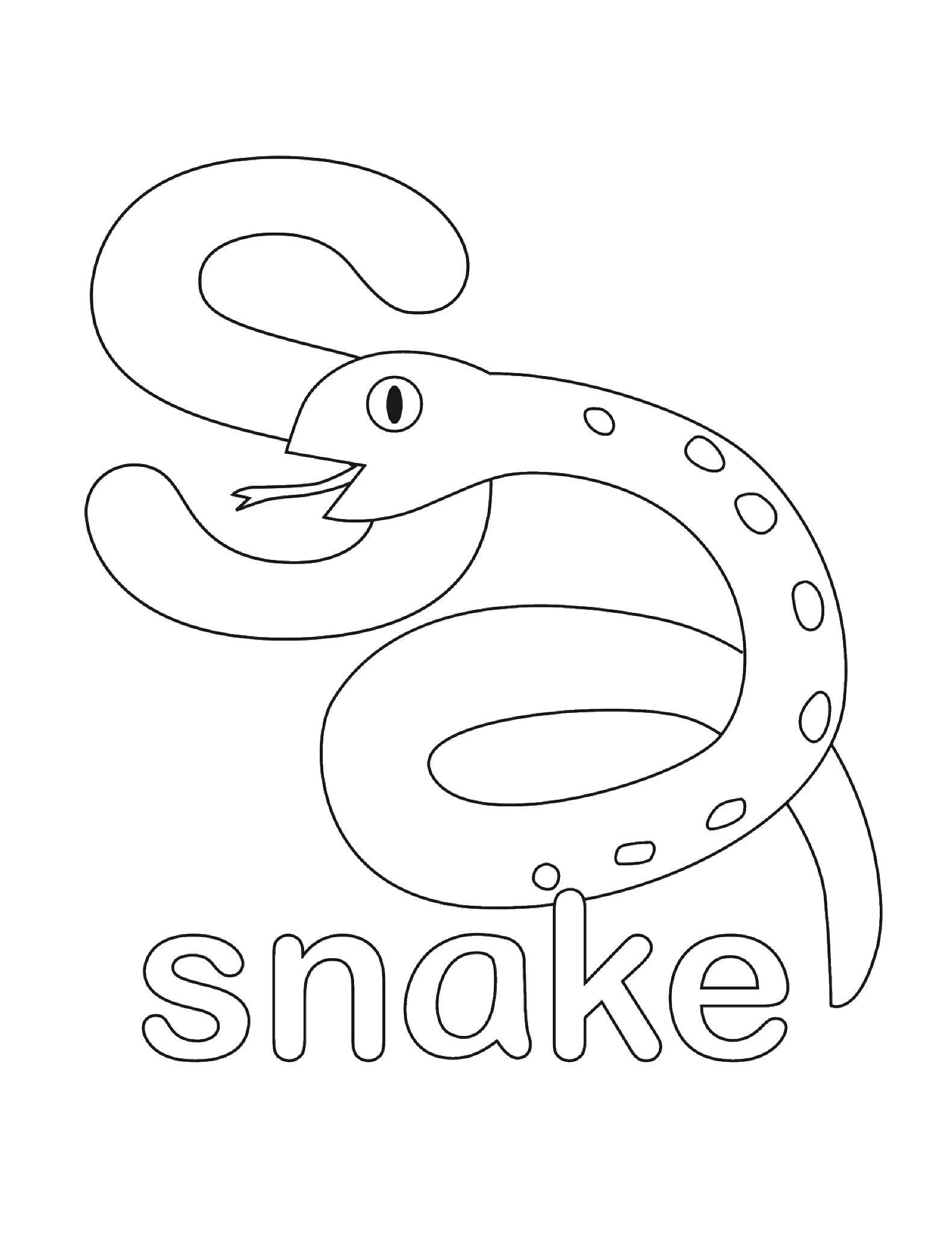 Coloring Z snake. Category English words. Tags:  English.