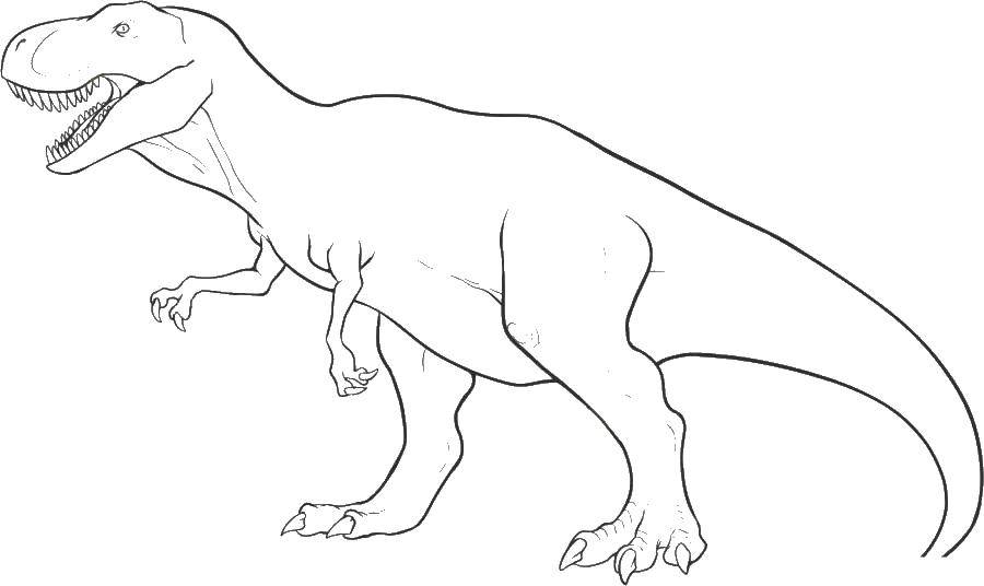 Coloring Tyrannosaurus dinosaur of the Cretaceous period. Category Jurassic Park. Tags:  Tyrannosaurus, dinosaur.