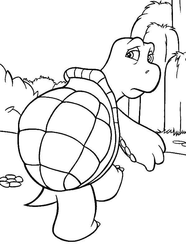 Coloring Sad turtle. Category coloring. Tags:  animals, turtle, shell.